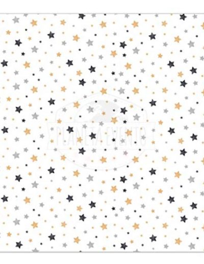 photocall estrellas negro